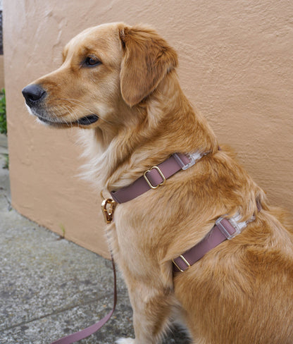 Le Harnais pour chien Espresso Brown Cloud Lite