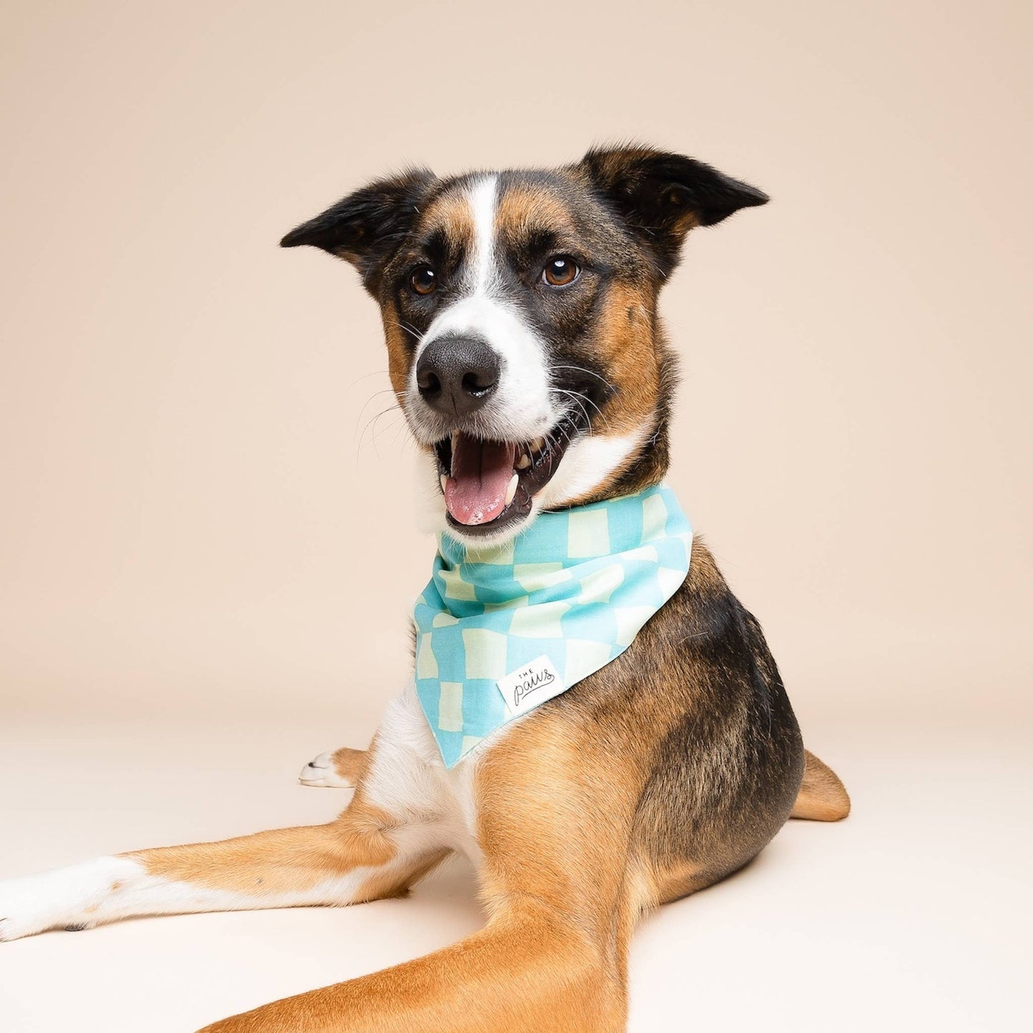 Le Bandana pour chien Soho