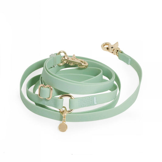La Laisse mains libres convertible 4-en-1 pour chien vert pistache