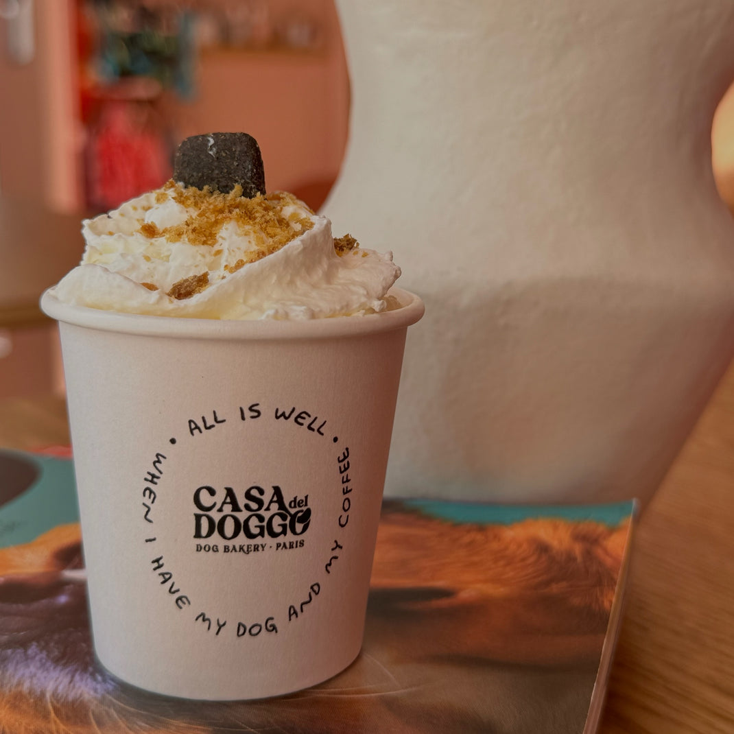 Boulangerie pour chien Française 🐕 – CASA DEL DOGGO