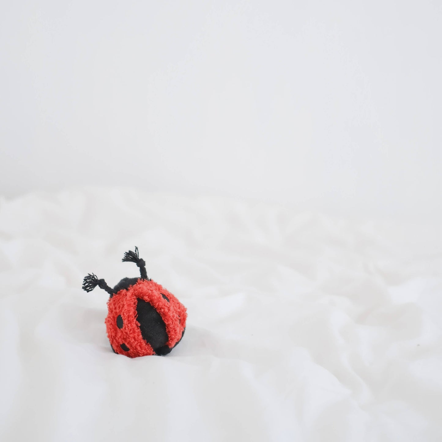 La Coccinelle - Jouet de fouille