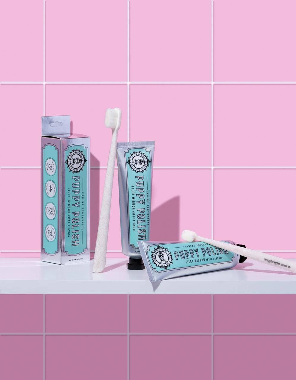 La Brosse à dents écologique Puppy Polisher