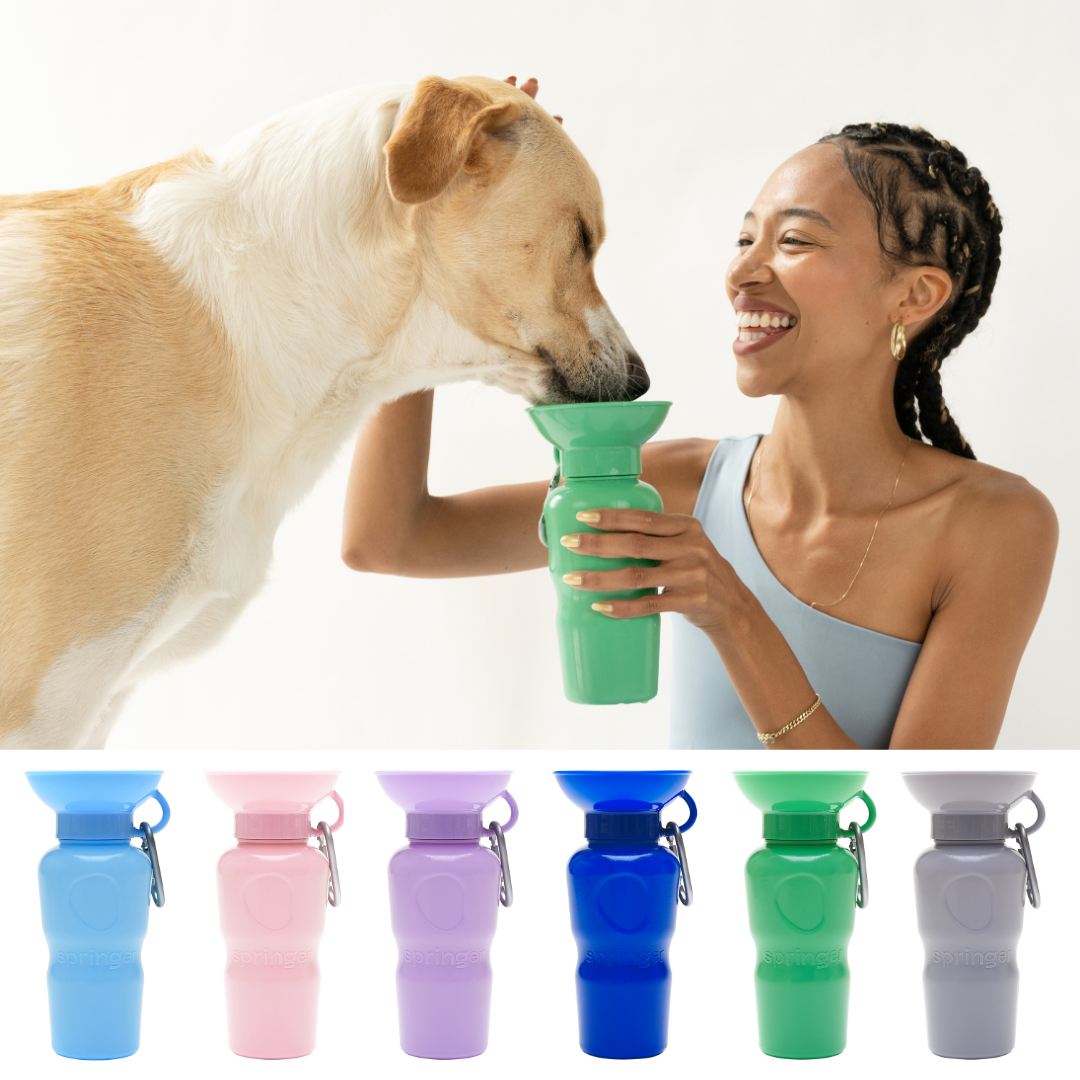 Doggo Fr La Gourde Transportable - Grande – CASA DEL DOGGO