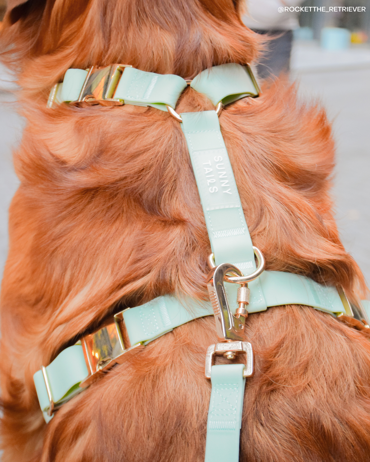 Le Harnais pour chien Pistachio Green Cloud Lite