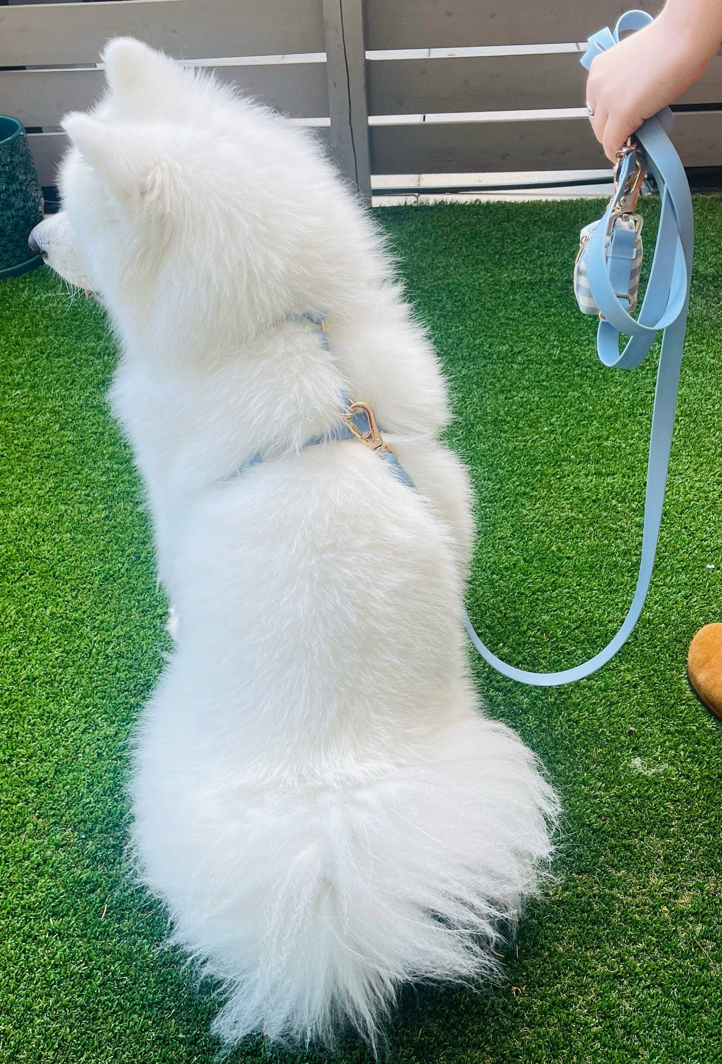 Le Harnais pour chien Malibu Blue Cloud Lite