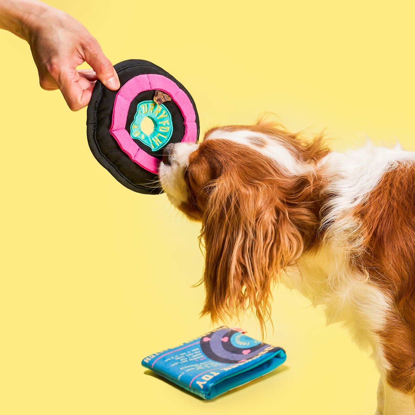 Le Jouet d’odorat en vinyle pour chien