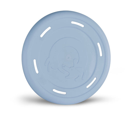 Le Frisbee en Caoutchouc