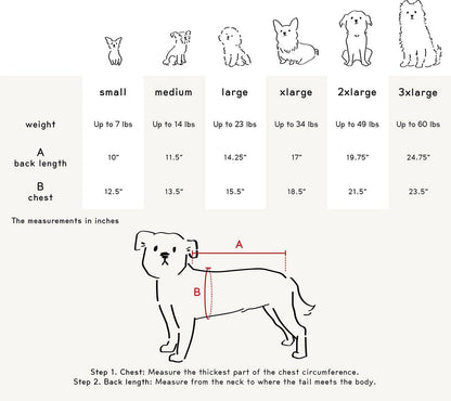 Le Pull - DOG BLESS