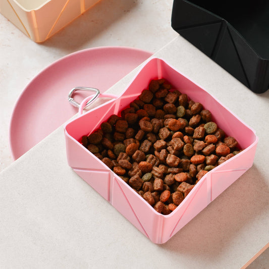 Le Bol de voyage pliable - Rose