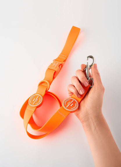 La Laisse imperméable pour chien Orange