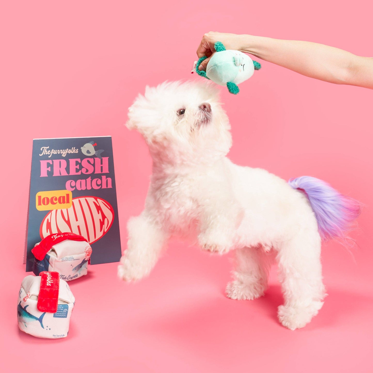La Boîte Poisson - Jouet d'Occupation
