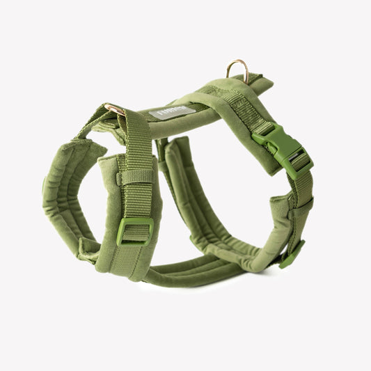 Le Harnais Vert en velours
