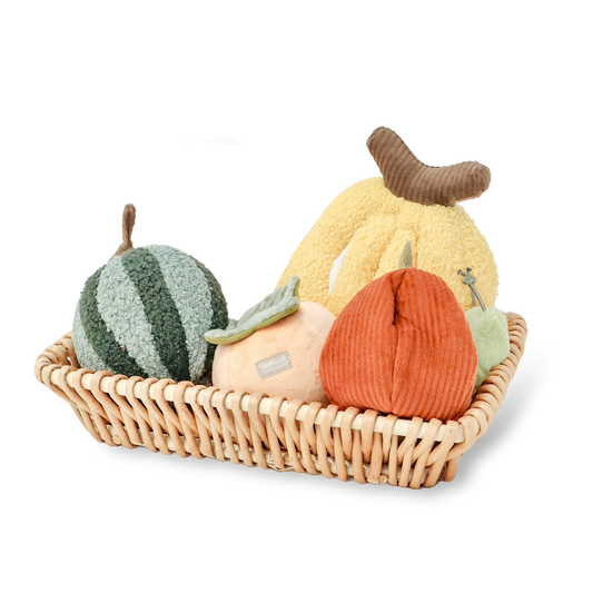 ENSEMBLE À FRUITS//ENSEMBLE DE JOUETS D'ENRICHISSEMENT// JOUET À ÉBOURIFFER